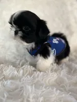 processed/6a23b9ba-69af-4c65-ae24-d04c6ab175a6/facility/caa815b8-da4a-4203-afe0-97cec5f2dd2a