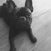 processed/6a24836c-91e7-487c-b44d-af38a7dbb1fa/facility/04434767-4192-479c-bb30-9689363d3d87