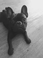 processed/6a24836c-91e7-487c-b44d-af38a7dbb1fa/facility/04434767-4192-479c-bb30-9689363d3d87