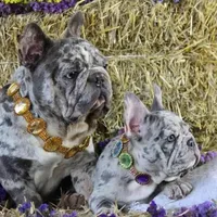 processed/6a24836c-91e7-487c-b44d-af38a7dbb1fa/facility/1b167fb8-c4ab-4eff-88c2-b8ae61bfb9da