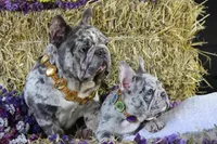 processed/6a24836c-91e7-487c-b44d-af38a7dbb1fa/facility/1b167fb8-c4ab-4eff-88c2-b8ae61bfb9da