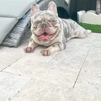 processed/6a24836c-91e7-487c-b44d-af38a7dbb1fa/facility/3176dfb4-d540-4337-8523-55f9c34504c9