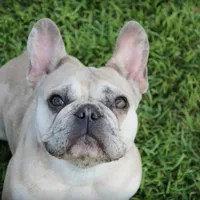 processed/6a24836c-91e7-487c-b44d-af38a7dbb1fa/facility/5e17d170-7461-497b-9123-4fff54006bc6