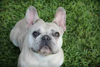 processed/6a24836c-91e7-487c-b44d-af38a7dbb1fa/facility/5e17d170-7461-497b-9123-4fff54006bc6