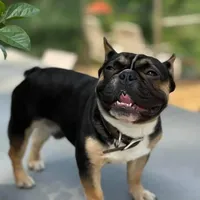 processed/6a24836c-91e7-487c-b44d-af38a7dbb1fa/facility/60d421b0-ef82-4c1a-a835-f79dc5f1e334