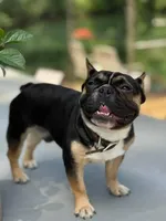 processed/6a24836c-91e7-487c-b44d-af38a7dbb1fa/facility/60d421b0-ef82-4c1a-a835-f79dc5f1e334