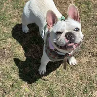 processed/6a24836c-91e7-487c-b44d-af38a7dbb1fa/facility/6d660412-5cf5-4425-bae7-1487c527df7d