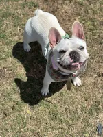 processed/6a24836c-91e7-487c-b44d-af38a7dbb1fa/facility/6d660412-5cf5-4425-bae7-1487c527df7d