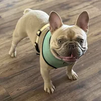 processed/6a24836c-91e7-487c-b44d-af38a7dbb1fa/facility/791035ab-bd56-4716-ad52-41c6598db2ab