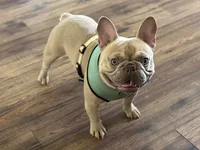 processed/6a24836c-91e7-487c-b44d-af38a7dbb1fa/facility/791035ab-bd56-4716-ad52-41c6598db2ab