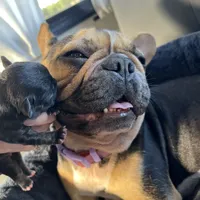 processed/6a24836c-91e7-487c-b44d-af38a7dbb1fa/facility/9e434746-5d90-49b4-b906-77607220bc38