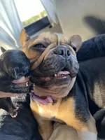 processed/6a24836c-91e7-487c-b44d-af38a7dbb1fa/facility/9e434746-5d90-49b4-b906-77607220bc38