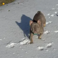 processed/6a24836c-91e7-487c-b44d-af38a7dbb1fa/facility/c3d77247-873a-4a4b-8c8f-1d9953ad1a5a