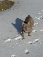 processed/6a24836c-91e7-487c-b44d-af38a7dbb1fa/facility/c3d77247-873a-4a4b-8c8f-1d9953ad1a5a