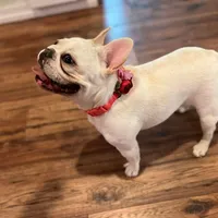 processed/6a24836c-91e7-487c-b44d-af38a7dbb1fa/facility/e963ff4c-6950-4919-a9ce-ddf8215ef5ff