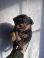 processed/6a249684-ce4d-473c-a1ac-2569f8579081/listing/f3d18e63-bb3f-4165-8020-d7c70567f40e/487fbeb9-bdc3-42f7-9c32-1018a874cd60