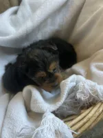 processed/6a249684-ce4d-473c-a1ac-2569f8579081/listing/f3d18e63-bb3f-4165-8020-d7c70567f40e/6c873941-c9dd-4a87-aff0-a0799c6927cd