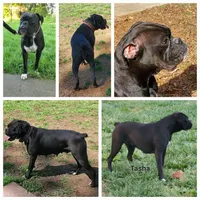 processed/6a2960b0-6bc1-461c-b4d5-1dab954576a5/facility/6a032f9a-e2a7-4c27-a6e5-9fe8c1f428cd