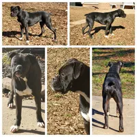 processed/6a2960b0-6bc1-461c-b4d5-1dab954576a5/facility/fff0a135-cd85-4ec0-9784-de55f8edb23f