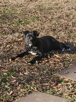 processed/6a2960b0-6bc1-461c-b4d5-1dab954576a5/listing/63b46b40-87d6-495b-a8d9-dfb0b3f8aded/26dd3717-94d9-4f75-bc29-bcfac67811b6