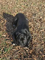 processed/6a2960b0-6bc1-461c-b4d5-1dab954576a5/listing/63b46b40-87d6-495b-a8d9-dfb0b3f8aded/2bf1490d-f4dc-4757-a745-9a3a8b1fd2e8