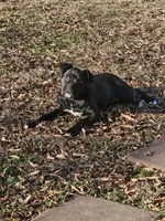 processed/6a2960b0-6bc1-461c-b4d5-1dab954576a5/listing/63b46b40-87d6-495b-a8d9-dfb0b3f8aded/307b0838-5c34-4faf-8202-160033dd22e7