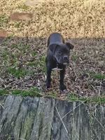 processed/6a2960b0-6bc1-461c-b4d5-1dab954576a5/listing/63b46b40-87d6-495b-a8d9-dfb0b3f8aded/3e336afd-2186-4802-b30b-e004c0cde004