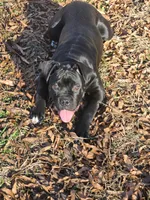 processed/6a2960b0-6bc1-461c-b4d5-1dab954576a5/listing/63b46b40-87d6-495b-a8d9-dfb0b3f8aded/dd5157f2-34f7-4062-ace5-b5deaf0c73d2