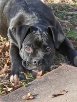 processed/6a2960b0-6bc1-461c-b4d5-1dab954576a5/listing/63b46b40-87d6-495b-a8d9-dfb0b3f8aded/e9f4224a-06ab-4192-939d-0477f3c0c4e8