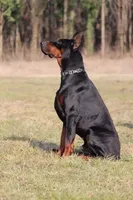 processed/6a2de1cc-f2ff-4a25-b078-c0d57c67f578/facility/204eefaa-2d71-438e-ac88-4b355c72dc70