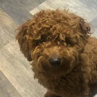 processed/6a35fb34-7fff-4535-8063-b10c5f0625d5/facility/20b629a7-e3e6-44e9-ae11-201c52d7d091