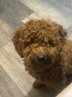 processed/6a35fb34-7fff-4535-8063-b10c5f0625d5/facility/20b629a7-e3e6-44e9-ae11-201c52d7d091