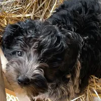 processed/6a35fb34-7fff-4535-8063-b10c5f0625d5/facility/793ef288-e7b3-488e-842c-162b4c01eed4