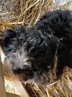 processed/6a35fb34-7fff-4535-8063-b10c5f0625d5/facility/793ef288-e7b3-488e-842c-162b4c01eed4