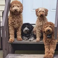 processed/6a35fb34-7fff-4535-8063-b10c5f0625d5/facility/8902e619-f9f6-42b2-b0b8-2f690ceaff18