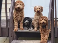 processed/6a35fb34-7fff-4535-8063-b10c5f0625d5/facility/8902e619-f9f6-42b2-b0b8-2f690ceaff18