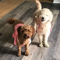 processed/6a35fb34-7fff-4535-8063-b10c5f0625d5/facility/e6ec55f4-f0a7-4cee-8132-f1b3cac812b5