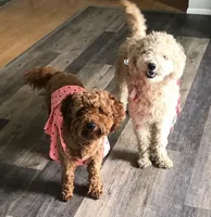 processed/6a35fb34-7fff-4535-8063-b10c5f0625d5/facility/e6ec55f4-f0a7-4cee-8132-f1b3cac812b5