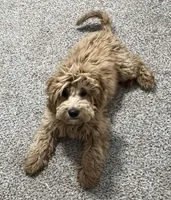 processed/6a35fb34-7fff-4535-8063-b10c5f0625d5/listing/052a9d15-ddaf-4f66-b00f-2fba14ca7c23/c0edf644-d2ac-406c-aac1-ee238186bc1e