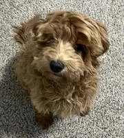 processed/6a35fb34-7fff-4535-8063-b10c5f0625d5/listing/0f8637e1-fe6c-4fa2-a02f-82013dada1fc/02d0abf3-dea9-4fc7-b73f-a77edd3fd61c