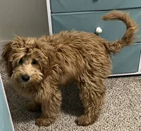 processed/6a35fb34-7fff-4535-8063-b10c5f0625d5/listing/0f8637e1-fe6c-4fa2-a02f-82013dada1fc/5eb83b26-1b03-4f7b-b0e5-b7bf7eb1c3b8