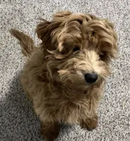 processed/6a35fb34-7fff-4535-8063-b10c5f0625d5/listing/0f8637e1-fe6c-4fa2-a02f-82013dada1fc/ec4901a5-6f07-4ea2-858c-daa0418c108b