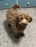 processed/6a35fb34-7fff-4535-8063-b10c5f0625d5/listing/4dc6bb8a-981a-45e1-a94c-a436b95c3e65/9471530d-ac20-4878-8a82-aa749f81bde2