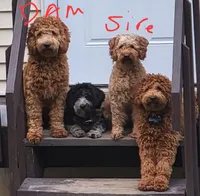 processed/6a35fb34-7fff-4535-8063-b10c5f0625d5/listing/a545f9a8-30bf-499a-b4c2-3dab6463d739/89c01d06-11f3-4e43-9bcd-252b05200dd4