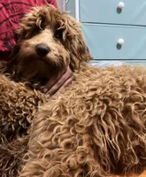 processed/6a35fb34-7fff-4535-8063-b10c5f0625d5/listing/a545f9a8-30bf-499a-b4c2-3dab6463d739/aefba706-2644-4d54-a3c7-692639cfc729