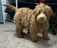 processed/6a35fb34-7fff-4535-8063-b10c5f0625d5/listing/ae0247fb-90df-40f2-bbf1-bf1fa7de853e/160be2cc-6c3c-445b-9d38-bd6173669eab