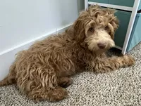 processed/6a35fb34-7fff-4535-8063-b10c5f0625d5/listing/ae0247fb-90df-40f2-bbf1-bf1fa7de853e/6e887488-299f-48fa-b0cb-5c129e58d556