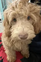 processed/6a35fb34-7fff-4535-8063-b10c5f0625d5/listing/ae0247fb-90df-40f2-bbf1-bf1fa7de853e/f3c79a00-0978-4e7f-a3d4-fe847e5305f9