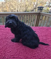 processed/6a35fb34-7fff-4535-8063-b10c5f0625d5/listing/aec711a4-93cf-4eed-a048-026750598e26/0da4e366-c117-45c3-a6a8-21d50cda2841