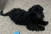 processed/6a35fb34-7fff-4535-8063-b10c5f0625d5/listing/aec711a4-93cf-4eed-a048-026750598e26/330a435e-797d-4bec-af58-05b617e04cd9